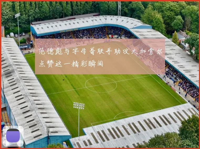范德彪与字母哥联手助攻大加索尔点赞这一精彩瞬间