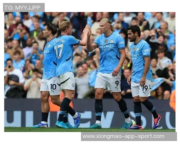 英超积分榜混乱不堪枪手领先曼城黑猫19分四队紧追其后 英超积分榜混乱不堪枪手领先曼城黑猫19分四队紧追其后